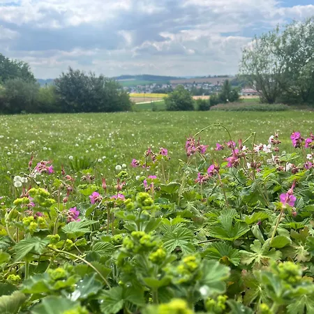 Von Wald Und Wiesen Umgeben * Moosthenning